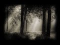 Damien Saez 2�me �bauche