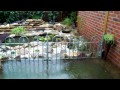 hochwasser Salzbergen 26 08 2010 002