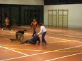 Partido de Futbito Partido de Futbito