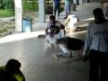 Movimento 3 - Aula do Narcelio