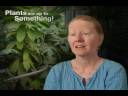 Plants Are Up To Something - An Interview with Kitty Connolly
