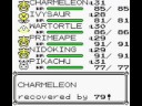 Pokemon Yellow - Gym Leader Erika