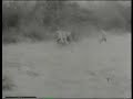 LSD being tested on british troops