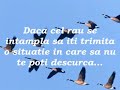 Bun-diminea-a