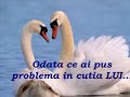 Bun? diminea?a...