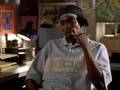 The-Wire-Bird-Is-Int