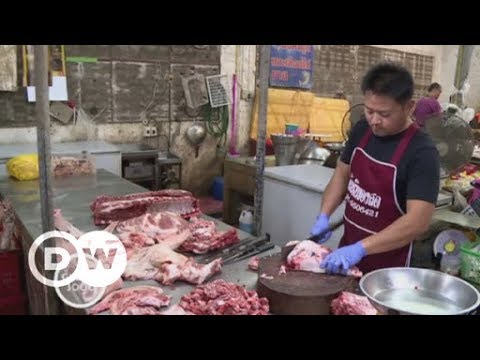 Bioanbau statt Futtermittel-Produktion in Thailand | DW ...