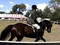 Taylor and Portia in their first riding class ever Taylor and Portia in their first riding class ever