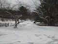 Banshee Snow Donuts Banshee Snow Donuts