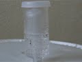 Fermentation of beer