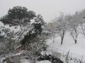 videos de panorama