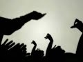 Amazing hand shadows