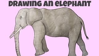 Drawing an elephant
