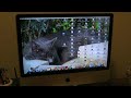 Modern Warfare 2 on MAC! Breach and Clear 15.85 (Veteran)