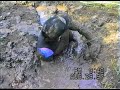 Tight lycra wetsuit in farm mudpit