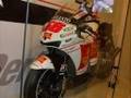 Moto G Week Riccione / Misano / San Marino