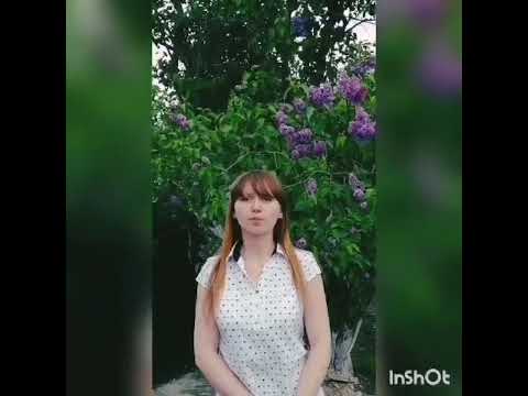 YouTube Трейлер