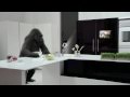Corning® Gorilla® Glass: Cooking Up Tomorrow's Kitchen 