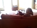eliya huggin her sissy eliya huggin her sissy