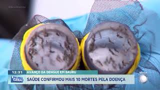 Avanço da dengue em Marília: saúde já contabiliza 10 mortes pela doença