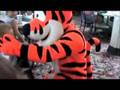 Meeting Tiger at Disney