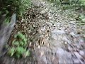 Freeride Frais-Susa.wmv Freeride Frais-Susa.wmv