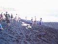 Kehena Beach drumming circle, scene two Kehena Beach drumming circle, scene two
