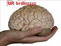 Dj Jorn - This is your brain