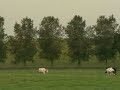 Breda onderzoekt transferium Bavelse Berg