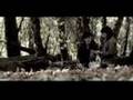 Quien Comparte Tu Silencio (Videoclip Oficial) - Delux