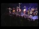 apr�s 28 ans de sillonage de routes en france et dans le monde, le groupe raoul petite a l'honneur de vous pr�senter son dernier dvd, un concert entier film� et enregistr� 