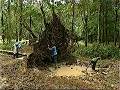 Rescue 911 - Episode 713 - Tree root trap