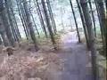 Downhill-Trail-Part-