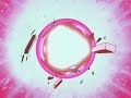 Exosanime Trailer DBZ Buu 09 