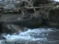 lady-of-stone.html