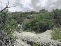Kenter%20Canyon%20Gully%20Jump