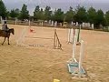 Chiiwal(L).