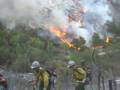 Zaca Fire