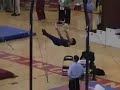 2007 IHSA Still Rings Finals