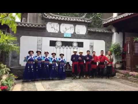 動画