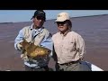 Pesca de Manguruyú