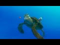 Correntes Marinhas (Prof. Toid) Correntes Marinhas (Prof. Toid)
