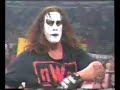 Sting joins NWO
