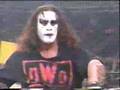 Sting joins NWO