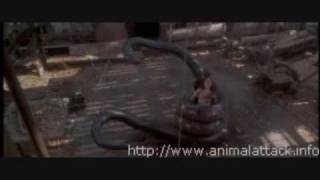 Anaconda: Giant Snake Of The Amazon [1999 TV Movie]
