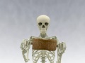 自主制作アニメ　「BoNES」