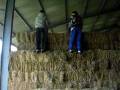 videos de Saltos ans le foin 2