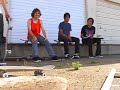 homemade dolly test homemade dolly test