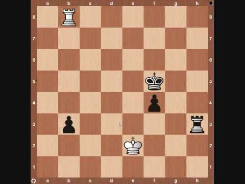 chess tactics chess tactics