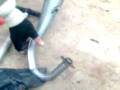 videos de linpiando un yasuni racin